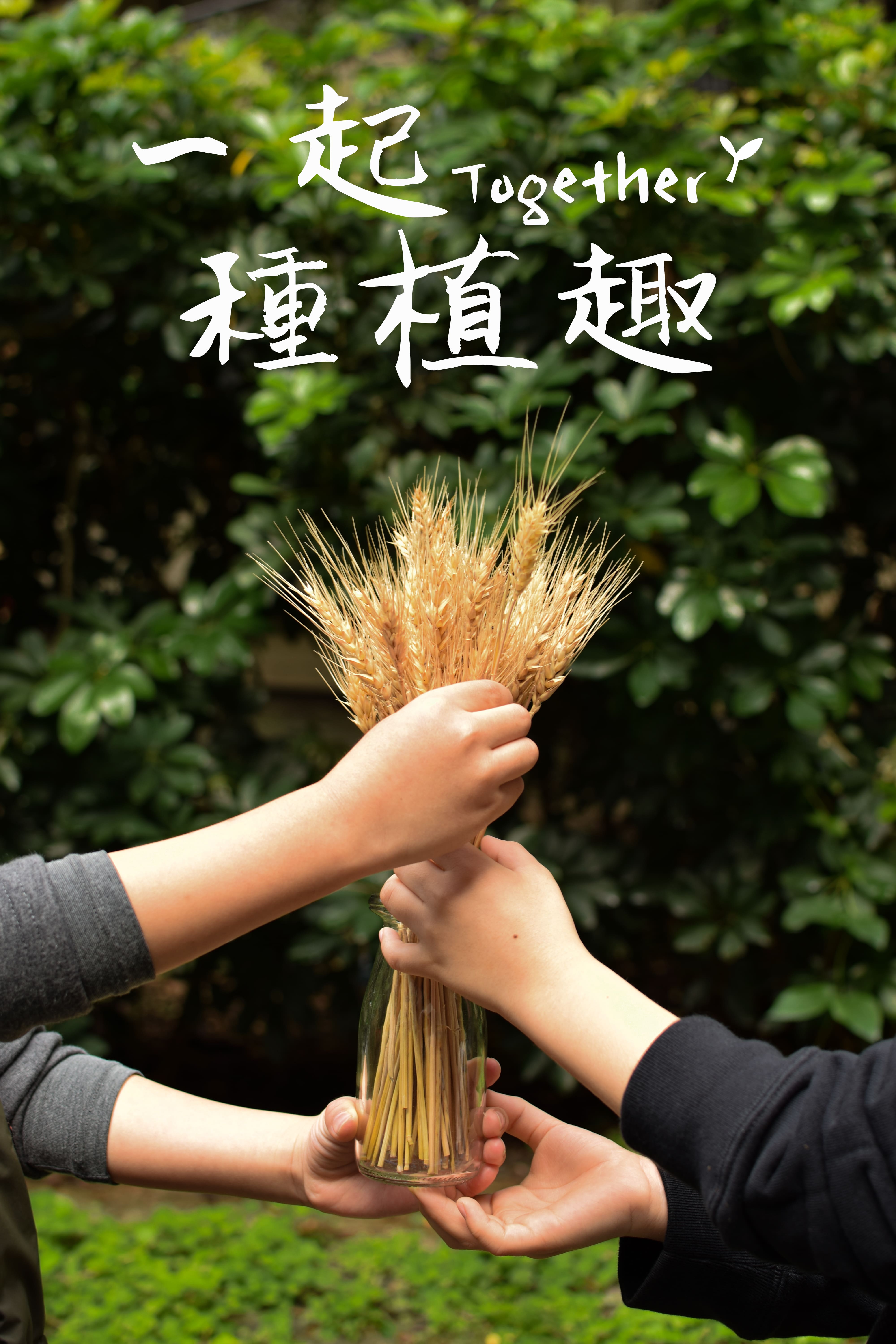 一起種植趣