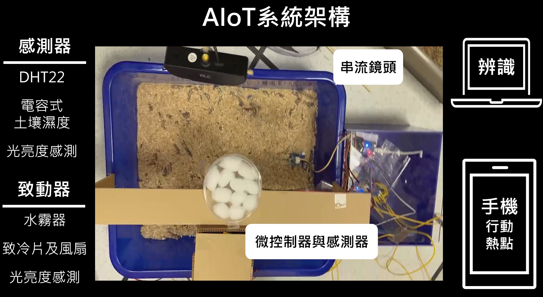 蟲點培育