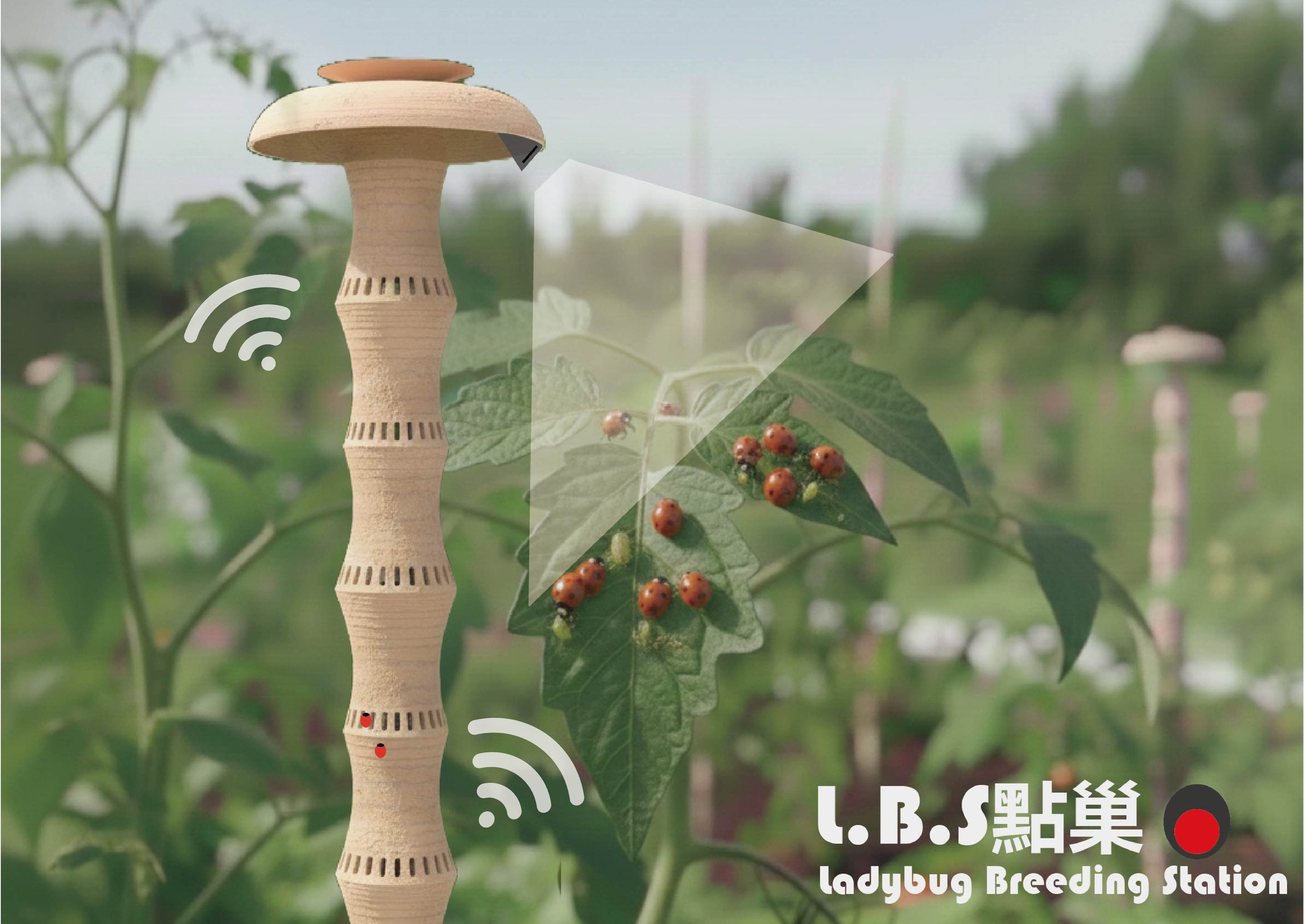 L.B.S點巢